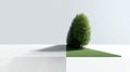 A geometric art piece featuring a triangular patch of green grass intersecting a white and gray background