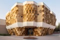 geometric beehive design on a modern building facade