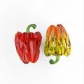 Geometric bellpepper rendering