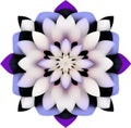 A vibrant flower constructed from overlapping geometric shapes. Royalty Free Stock Photo