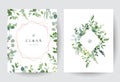 Geometric botanical vector design frames on white background