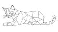 Geometric Feline Design Abstract Cat Line Art Royalty Free Stock Photo