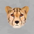 Geometric colored cheetah head Royalty Free Stock Photo