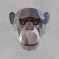 Geometric colored monkey