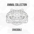 Geometric crocodile head Royalty Free Stock Photo