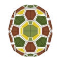 Turtle shell pattern. The shell is composed of various polygons, Royalty Free Stock Photo