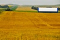 Geometric Design in Golden Wheat Fields