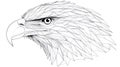 Geometric Eagle Head Outline Drawing - Majestic Bird of Prey in Profile Royalty Free Stock Photo