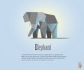 Geometric elephant illustration in polygonal style. low poly. Animal triangle icon. Modern object