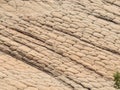 Geometric erosion patterns on sandstone; scene from around the Red Cliffs National Conservation Area on the Yellow Knolls hiking t