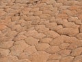 Geometric erosion patterns on sandstone; scene from around the Red Cliffs National Conservation Area on the Yellow Knolls hiking t