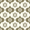 Geometric floral background Royalty Free Stock Photo