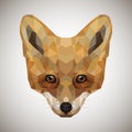 Geometric fox logo. Vector illustration background in flat design style Royalty Free Stock Photo