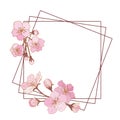 Geometric frame of apple flowers