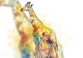 Geometric giraffe illustration using polygonal shapes and vibrant watercolor splashes. Royalty Free Stock Photo