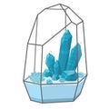 Geometric glass terrarium with blue crystals and succulents