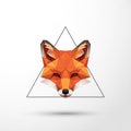 Geometric illustration of a fox head Royalty Free Stock Photo