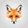 Geometric illustration of a fox head, Royalty Free Stock Photo