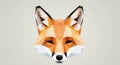 Geometric illustration of a fox head Royalty Free Stock Photo