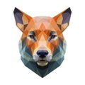 Geometric illustration of a fox s head using a low poly style Royalty Free Stock Photo
