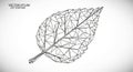 Geometric illustration of a leaf composed Royalty Free Stock Photo