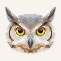 Geometric illustration of an owl\'s face, Royalty Free Stock Photo
