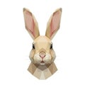 Geometric illustration of a rabbit s face features angular shapes in Royalty Free Stock Photo