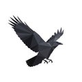 Geometric illustration of a raven (Corvus Royalty Free Stock Photo