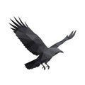Geometric illustration of a raven (Corvus Royalty Free Stock Photo