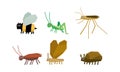 Geometric insects set, bee, grasshopper, mosquito, ant, bug vector Illustration on a white background