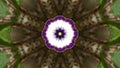 Geometric kaleidoscope with petunia flower and green leaf background.