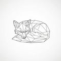 Geometric line art of a fox, Royalty Free Stock Photo