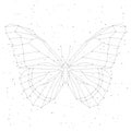Geometric linear butterfly, constellation