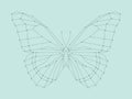 Geometric linear butterfly