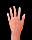 Geometric Low Poly Hand Gesture, Number Five Hand Sign, Abstract Triangular Vector Illustration