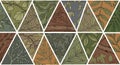 Geometric mosaic composed of triangular sections, each featuring detailed botanical Royalty Free Stock Photo