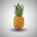 Geometric origami pineapple with grey background