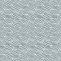 Geometric ornamental pattern background. Vector graphic template.