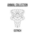 Geometric ostrich head