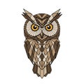 And beige to create the owl s body with large striking orange Royalty Free Stock Photo