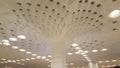 Geometric pattern Architecture of Mumbai International Airport