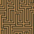 Geometric pattern with a maze of interlocking thin lines. Modern striped style.