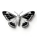 Geometric Patterned Moth White Background Isolated Studio Shot Royalty Free Stock Photo