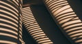 Abstract Shadow Pattern from Blinds on Curved Surfaces, Golden Hour Light Royalty Free Stock Photo