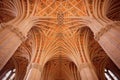 geometric patterns on moorish cathedral ceiling