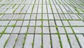 Geometric Paving Slabs with Emerging Grass Royalty Free Stock Photo