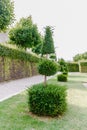 Geometric plant forms of landscape design. Trees trimmed as Geometric shapes. Beautiful garden Topiary art landscape