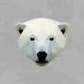 Geometric polar bear head colored Royalty Free Stock Photo