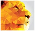 Geometric polygon lion head, triangle pattern