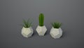Geometric polygonal concrete planters 3D render illustration